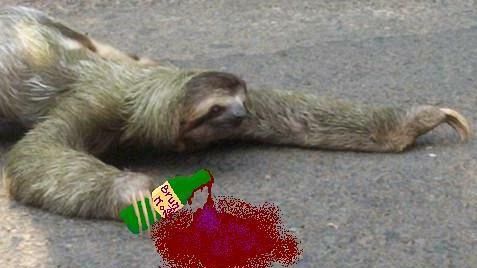 “Il Pd mazarese? Come un bradipo ubriaco”