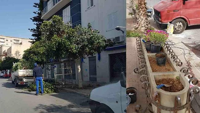 Mazara, potatura e sfoltitura degli alberi nel territorio cittadino