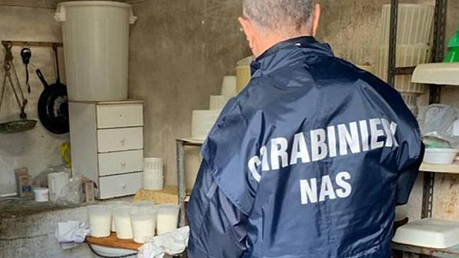 Custonaci. Campagna di controlli alla “filiera del latte”: i Carabinieri scoprono un caseificio abusivo 