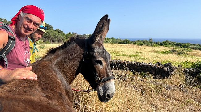 L’asino pantesco diventa educatore, animatore territoriale e guida turistica