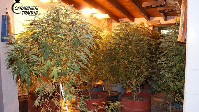 Pantelleria. Serra di canapa indoor rinvenuta dai carabinieri. 2 arresti