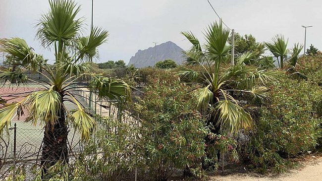 Lido Valderice, incendio nel perimetro della struttura di Torre Xiare