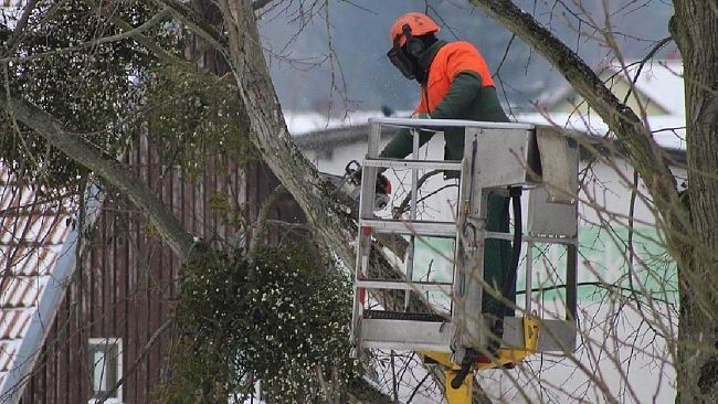 Gibellina. Il 19 e 20 luglio chiusa metà carreggiata del Viale Santa Ninfa
