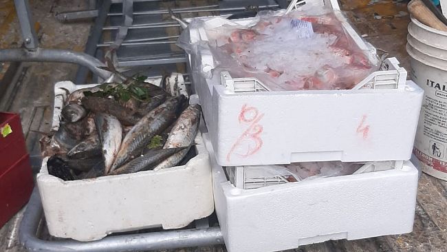 Mazara, dopo nostra segnalazione sequestro di pesce abusivo in piazzetta dello Scalo. Servono interventi quotidiani per sradicare la pratica illegale…