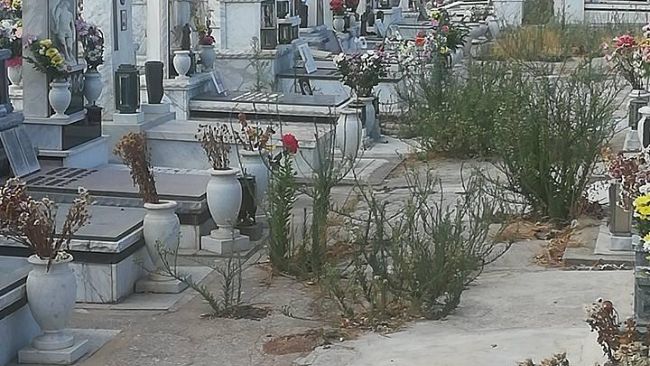 Cimitero in abbandono. Lo denuncia Città Nuova