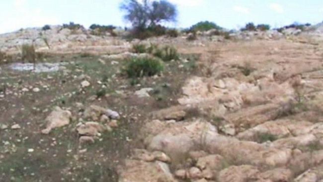 Residenti di Borgata Costiera contro la “fattoria eolica” nei pressi del sito archeologico di Roccazzo. Dove sono i politici e gli ambientalisti?