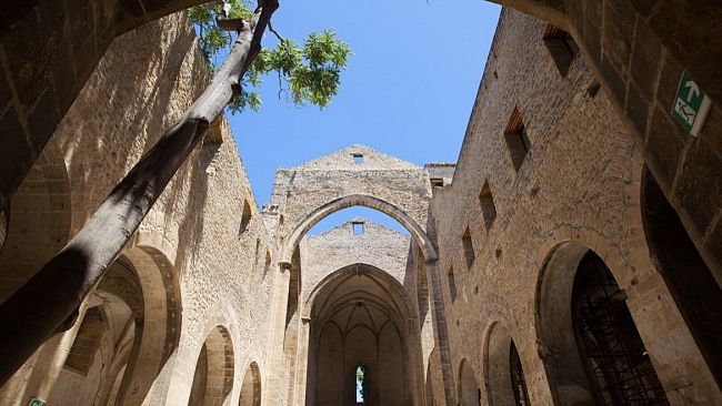 L’estate degli Amici della Musica: 9 appuntamenti in programma 