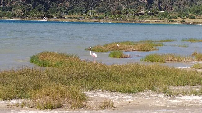 Pantelleria, aperta la gara per il progetto di conservazione del Lago Bagno dell'Acqua (Specchio di Venere)
