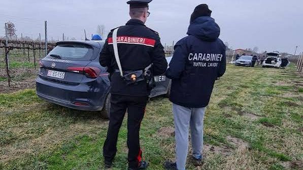 ​Enna, caporalato nella raccolta delle arance: emesse quattro misure cautelari 