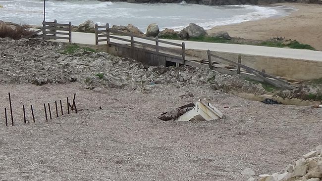 Pescatori di Marinella di Selinunte in presidio