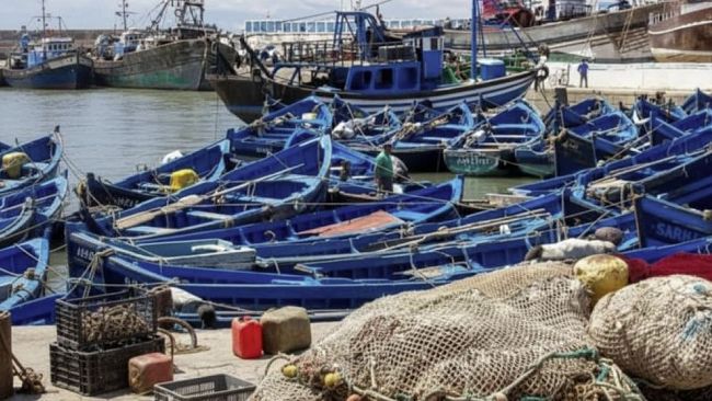 aiuti-regionali-per-la-pesca-in-sicilia-480-mila-euro-a-sostegno-di-alici-e-sardine