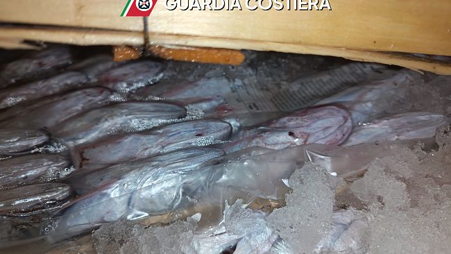 San Vito Lo Capo: sequestrate due tonnellate di tonno rosso senza tracciabilità 