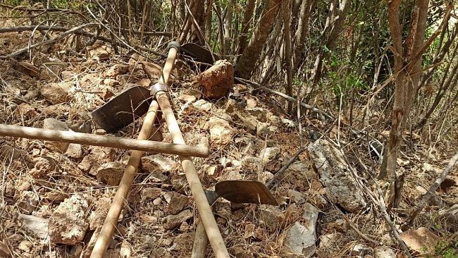 Forestali, il Governo ne ignora i problemi e le attese
