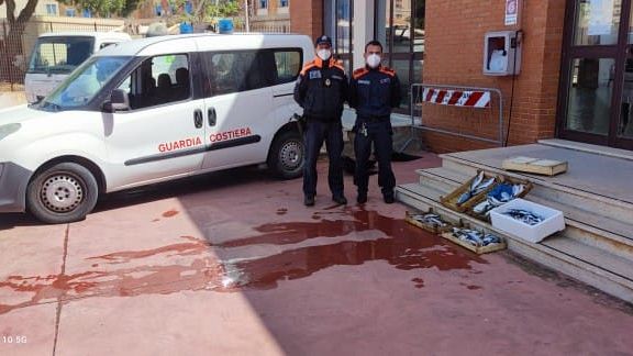 Trapani, sequestrati oltre 30 kg di prodotti ittici al porto peschereccio