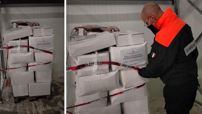 Mazara, la Guardia Costiera sequestra 450 kg di prodotto ittico non a norma