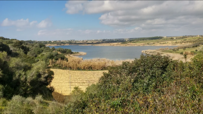 Mazara, avviso del Comune e WWF per acquisizione terreni privati ricadenti nella Riserva  Lago Preola e Gorghi Tondi