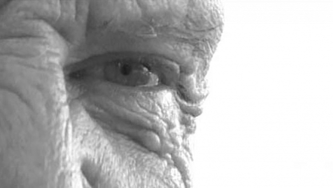 Ultime della sera: “Il mondo di Salvino”