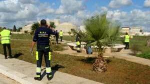 CASTELVETRANO – Volontari puliscono un area comune