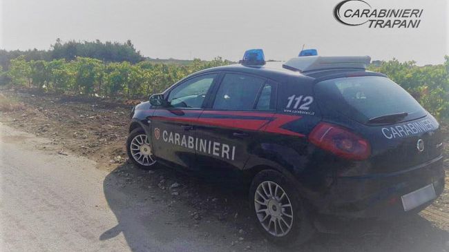 Marsala: sorpresi dai Carabinieri a rubare uva in un terreno. Un arresto e tre denunce