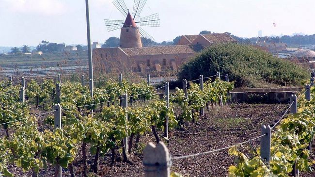 Concorso enologico: dodici medaglie a Marsala