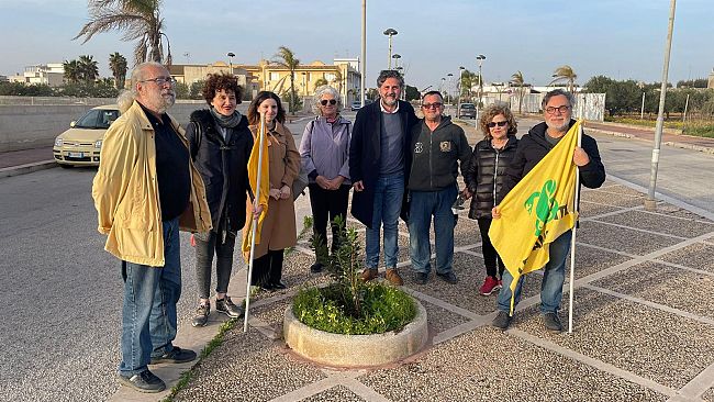  Petrosino, rinasce il verde in viale Giacomo Licari, piantati alberelli di corbezzolo