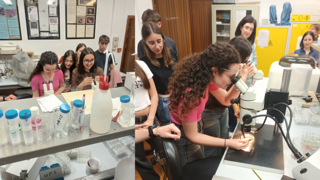 mazara-scienziate-al-futuro-al-liceo-adria-ballatore-la-sfida-agli-stereotipi-di-genere-nelle-stem