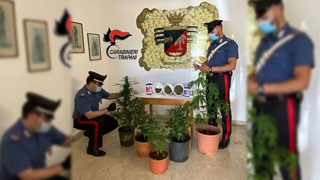 Petrosino, arrestato pollice verde della Cannabis