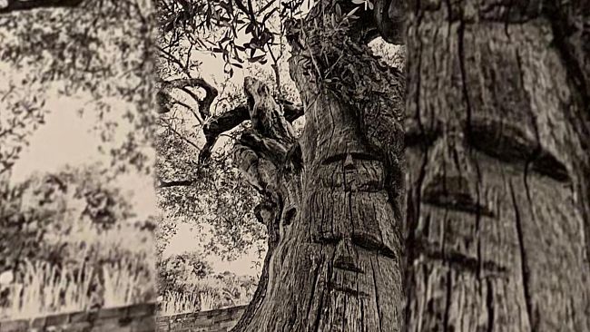 Il futuro del Sud in bilico tra l’accontentarsi e il re-esistere