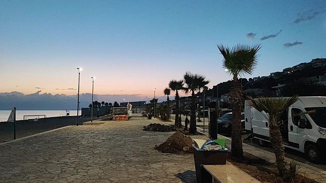 tocco-di-verde-ad-alcamo-marina-piantate-21-palme-alla-battigia-e-in-zona-canalotto