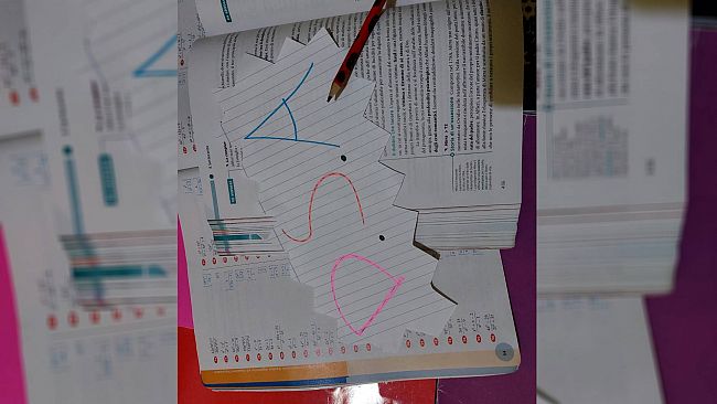 Relazione tra DSA e Società