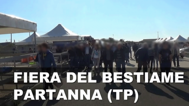 Partanna, domani 13 febbraio riapre la Mostra Mercato del Bestiame