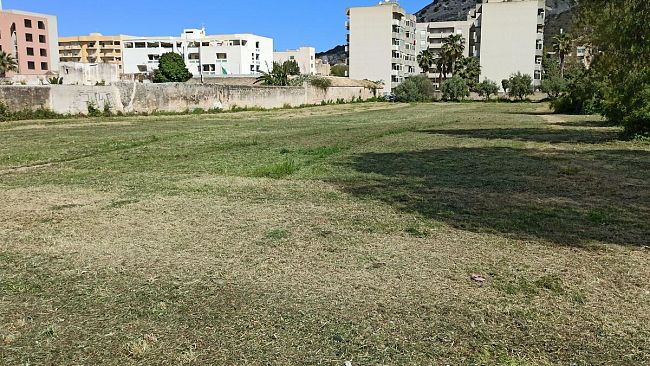 Trapani, scomparsi gli alberi di via Clio: che fine hanno fatto?