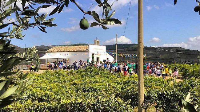 a-vita-la-festa-in-onore-dei-santi-cosma-e-damiano-martiri