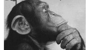 Il culto dei morti e la delusione dell’antico egizio