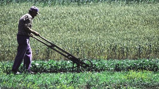 Castelvetrano, agricoltore muore colto da un malore