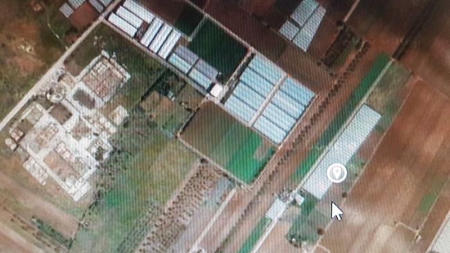 Carabinieri sequestrano mega piantagione di marijuana fra Mazara e Marsala. Arrestati due mazaresi e due rumeni