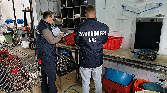 irregolarita-e-carenze-igieniche-sotto-sequestro-quintali-di-prodotto-ittico-nel-palermitano