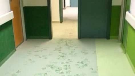 Atti vandalici all'Ospedale