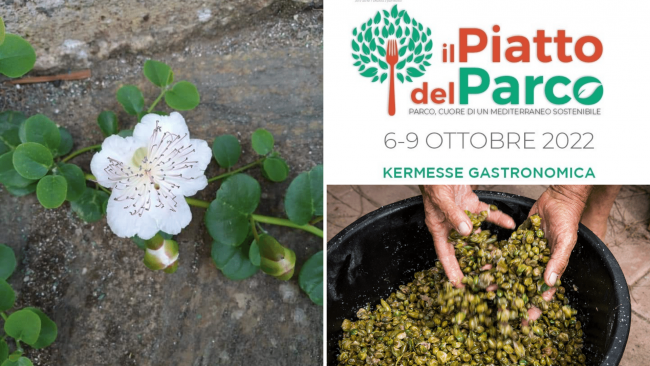 Pantelleria, Coltiviamo il Parco. Kermesse gastronomica fra gli chef dell'isola