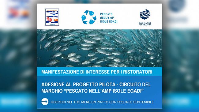Un progetto pilota per il Marchio del Pescato nell’AMP “Isole Egadi”
