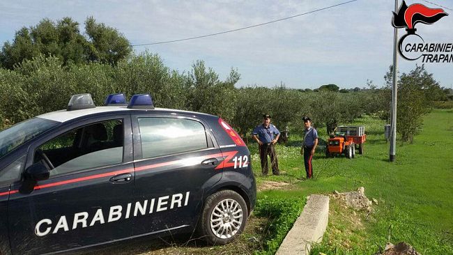 Raccolta delle olive a Campobello: Iniziano i controlli da parte dei Carabinieri