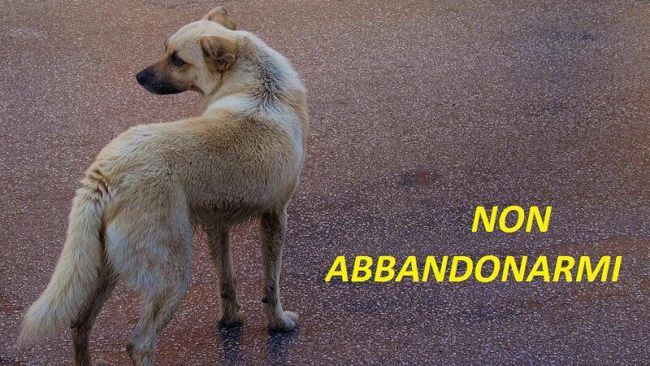 “Ddoppu chi a Sant’Agata l’ arrubbaru cci ficiru i portt ‘i ferru”