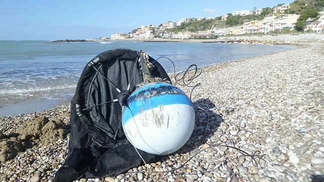 Il WWF recupera geostazione marina