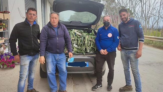 Rinnovata la donazione di carciofi