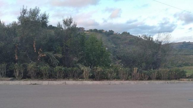 Il verde pubblico di Salemi si rifà il look