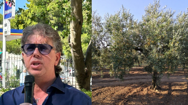 Campobello, dal 24 luglio gli agricoltori potranno prenotare l'acqua per l'irrigazione