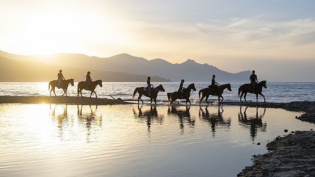 Torna con la 7^ edizione il Raduno Equestre Regionale di Castellammare del Golfo 
