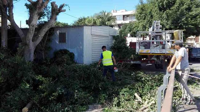 Mazara, lavori di pulizia, scerbatura e potatura degli alberi in zona via Siculo Diodoro