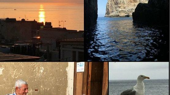 “Quasi” il convegno delle tre parole a Marettimo: generatività, contaminazione, connettività.