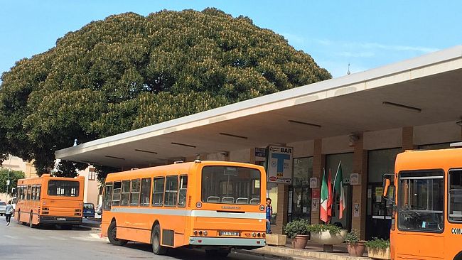 Marsala, Momentanea sospensione circolare urbana